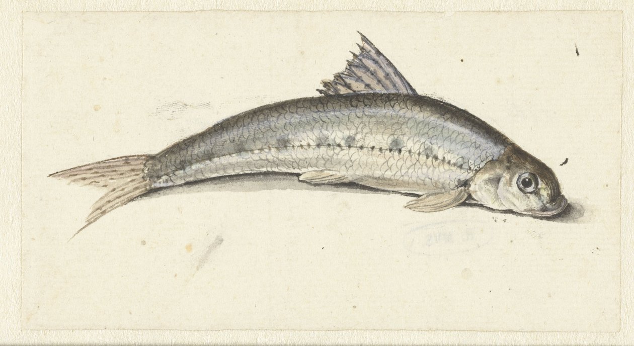 Gondola by Johannes le Francq van Berkhey