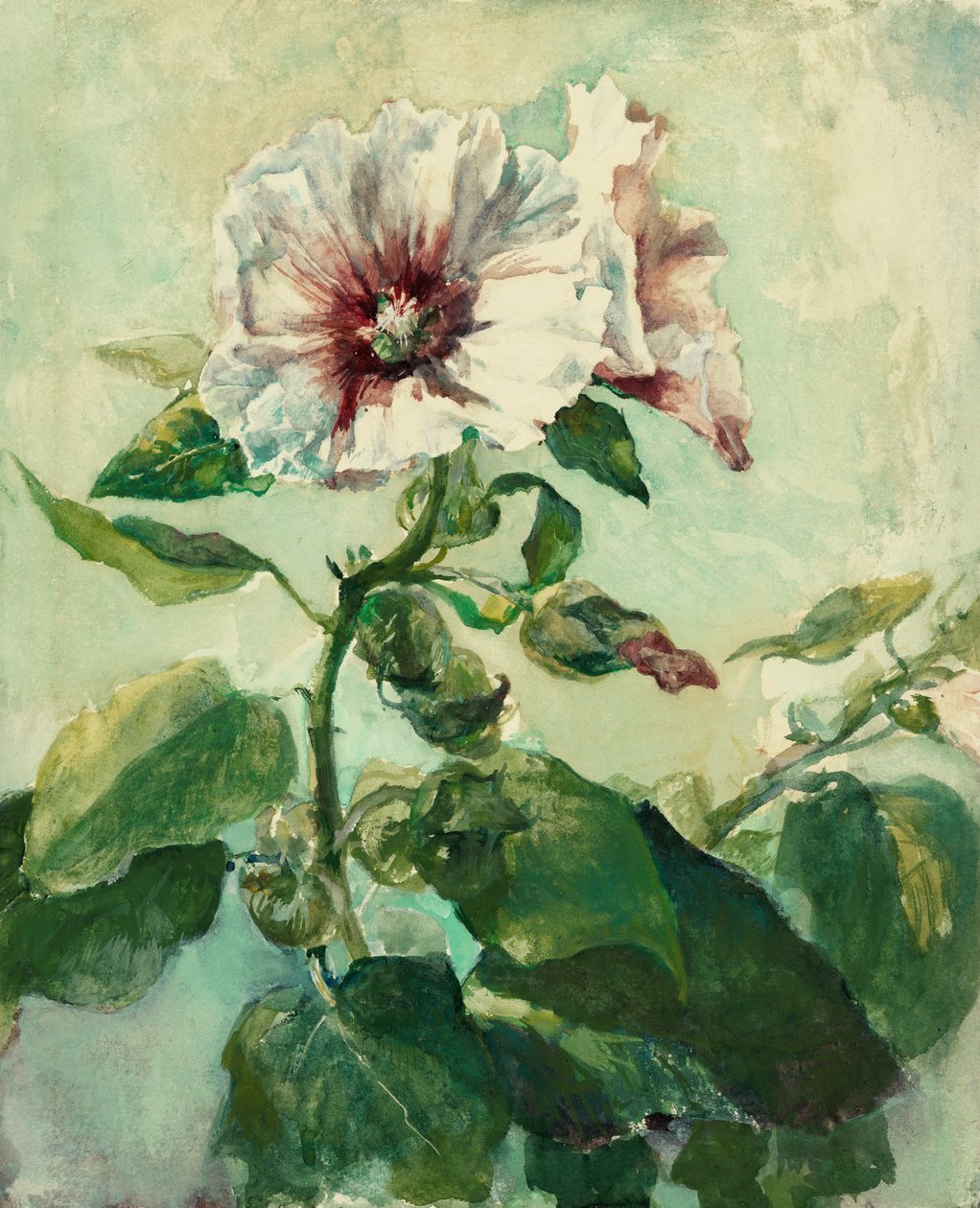 Study of Pink Hollyhocks in Sunlight, from Nature by John La Farge or Lafarge