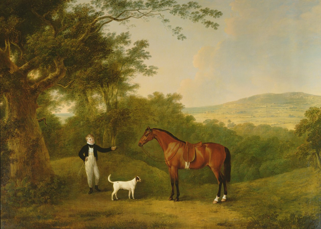 Portrait of a Boy, a Terrier and a Chestnut Pony by John Boultbee