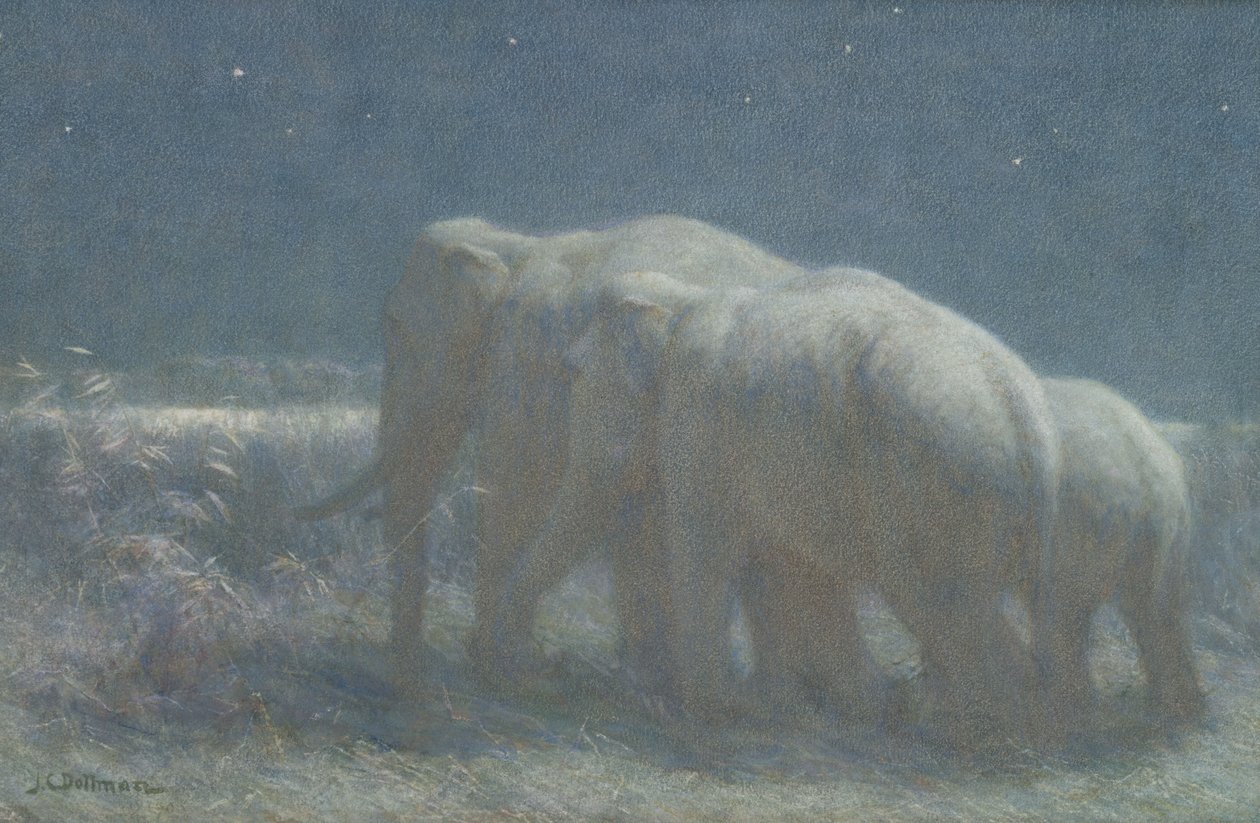 Night, 1908 by John Charles Dollman