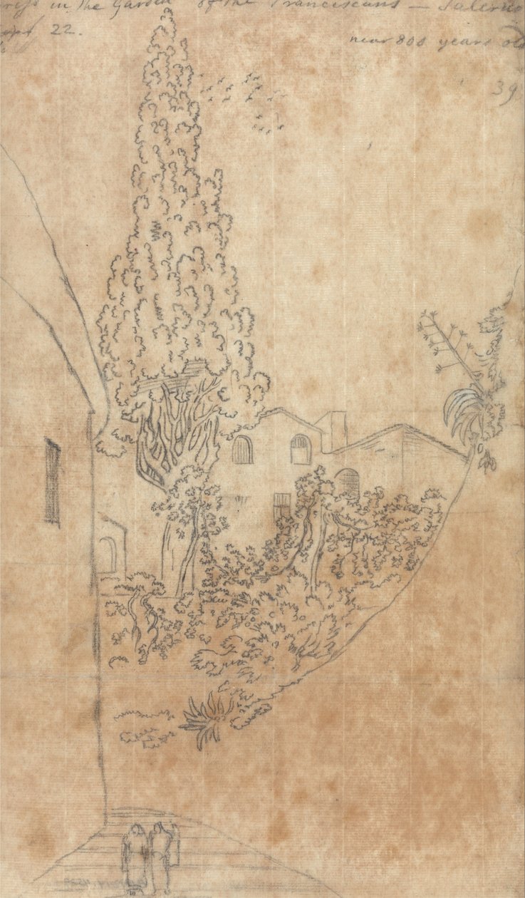 Cypress in the Garden of the Franciscans at Salerno by John Robert Cozens