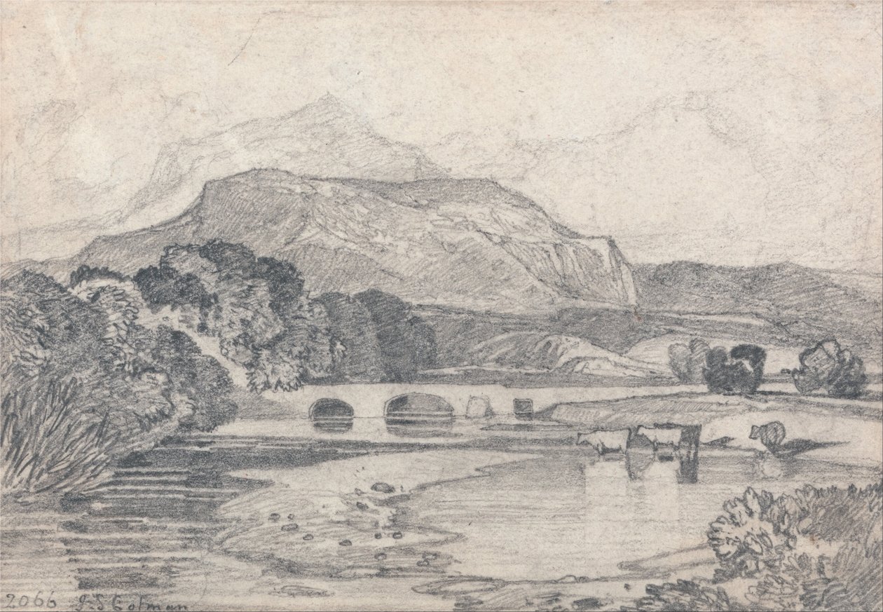 Tan-y-Bwlch, North Wales by John Sell Cotman