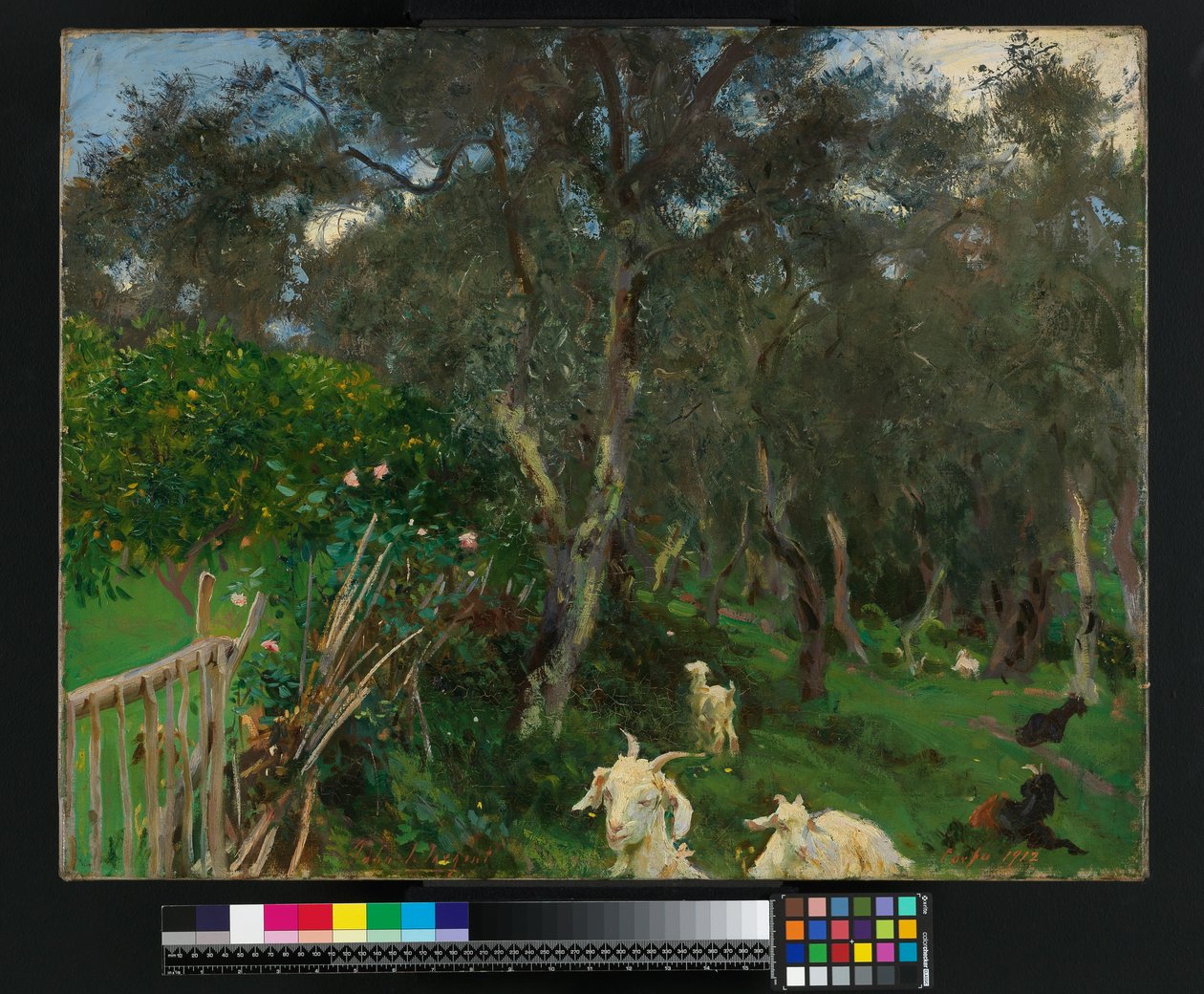 Olives in Corfu by John Singer Sargent