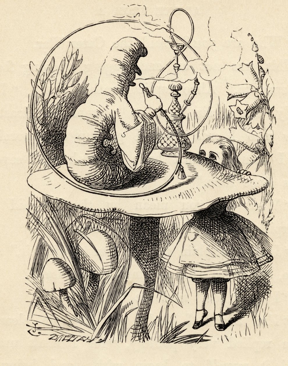 Advice from a Caterpillar, from 
