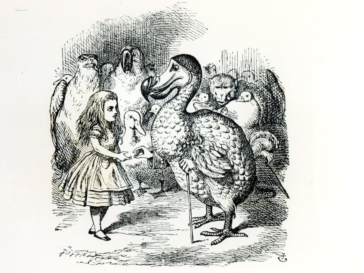Alice Meets the Dodo, Illustration from 