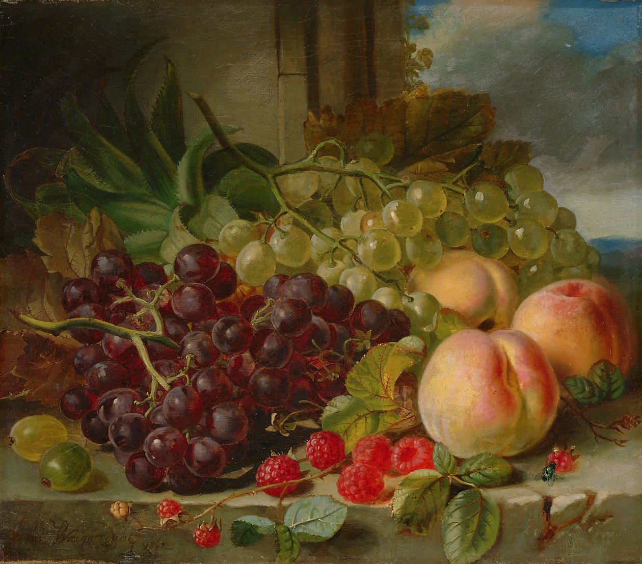 Still Life with Fruit, 1862 by John Wainwright