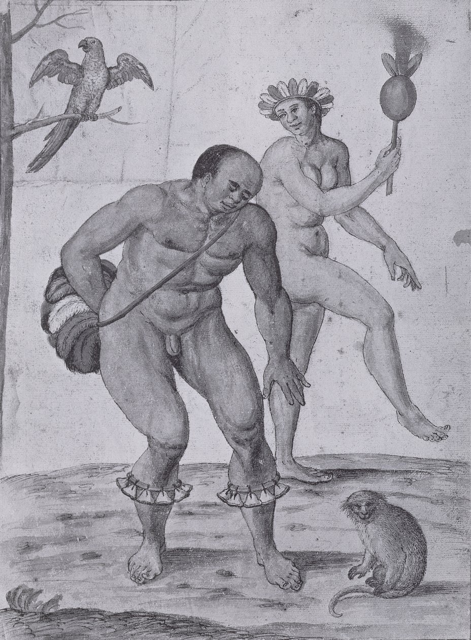 Brazilian Indians Dancing by John White