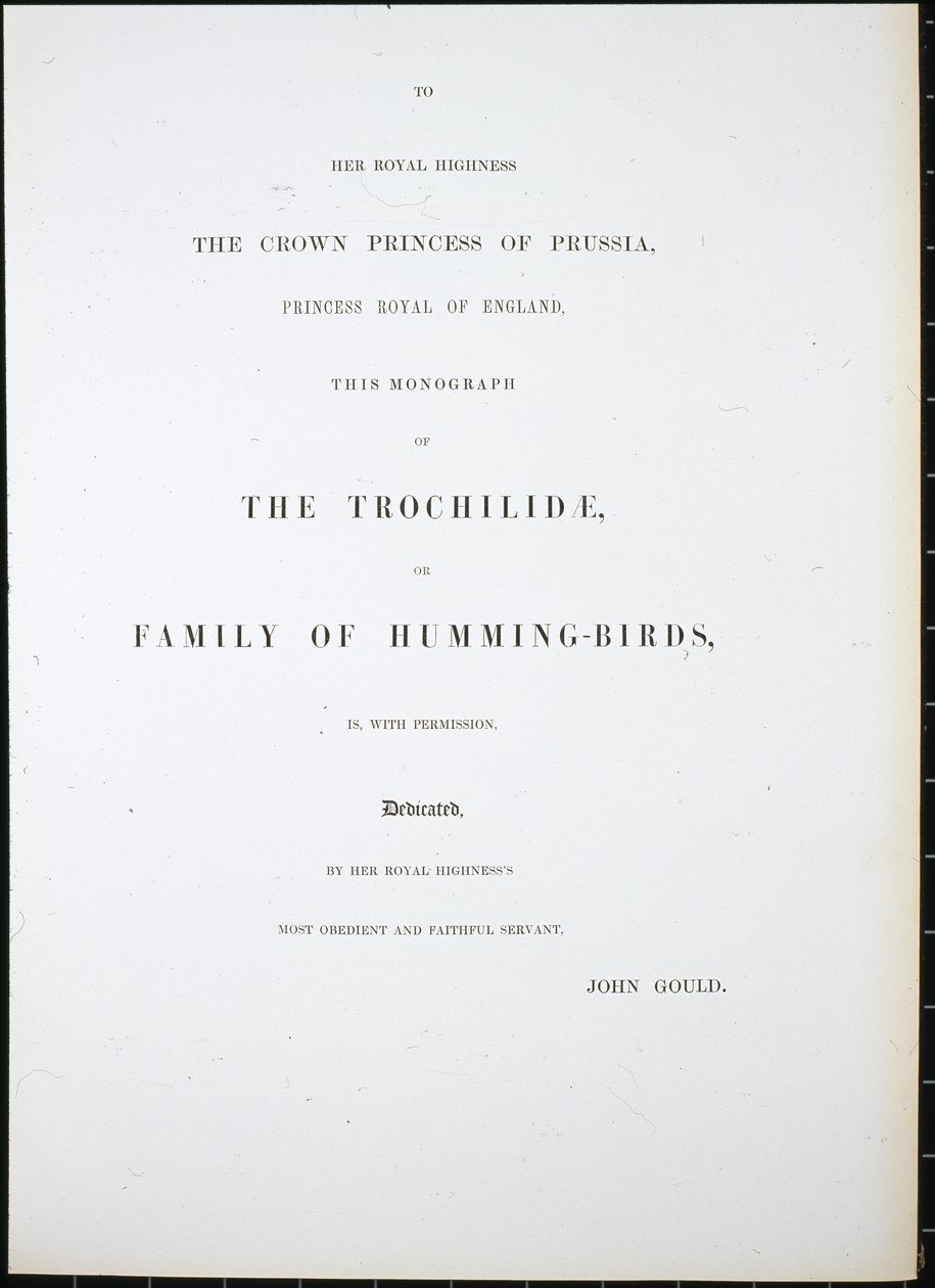 Frontispiece by John (after) Gould
