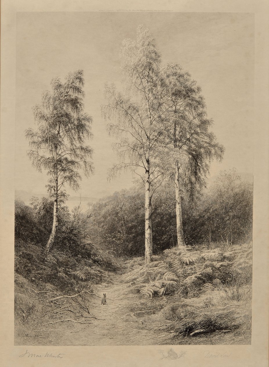 The Three Graces by John (after) MacWhirter