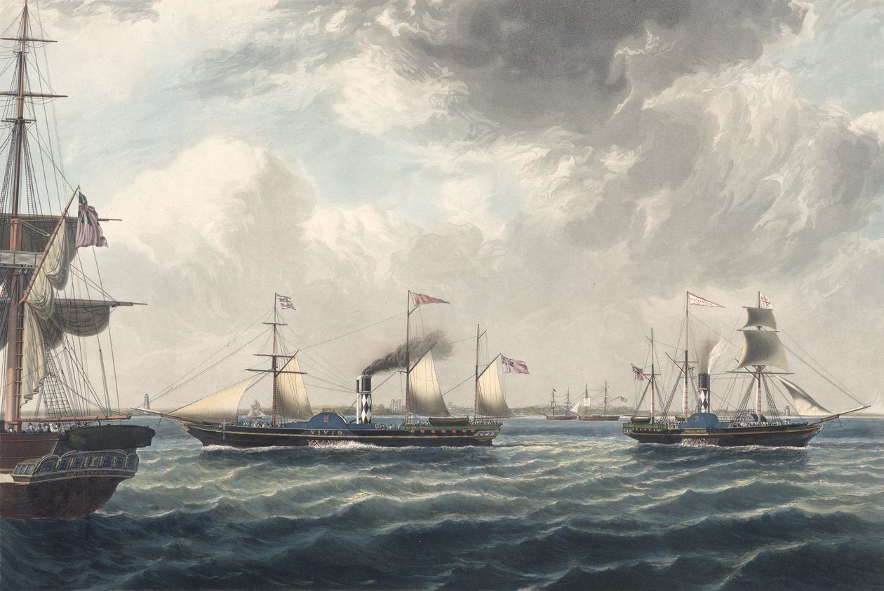 The Steamships 