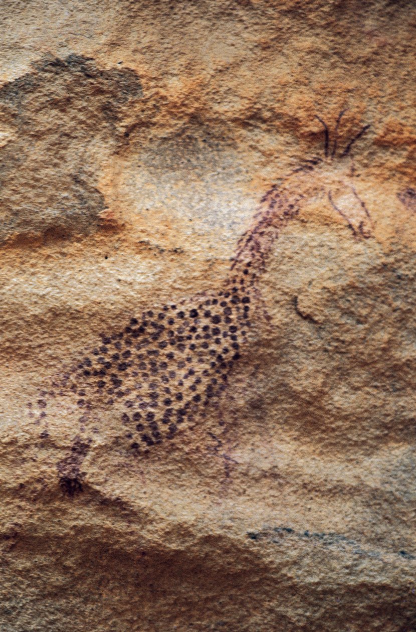 Giraffe, Cave Painting, Pastoral Period (4000-2500 BC), Tassili n