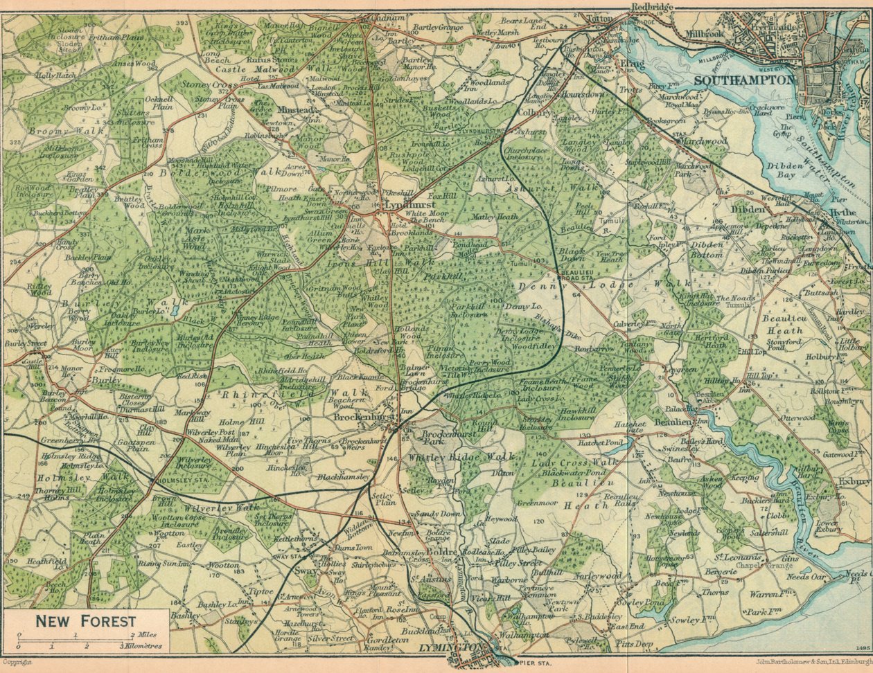 New Forest, 20th Century by John Bartholomew
