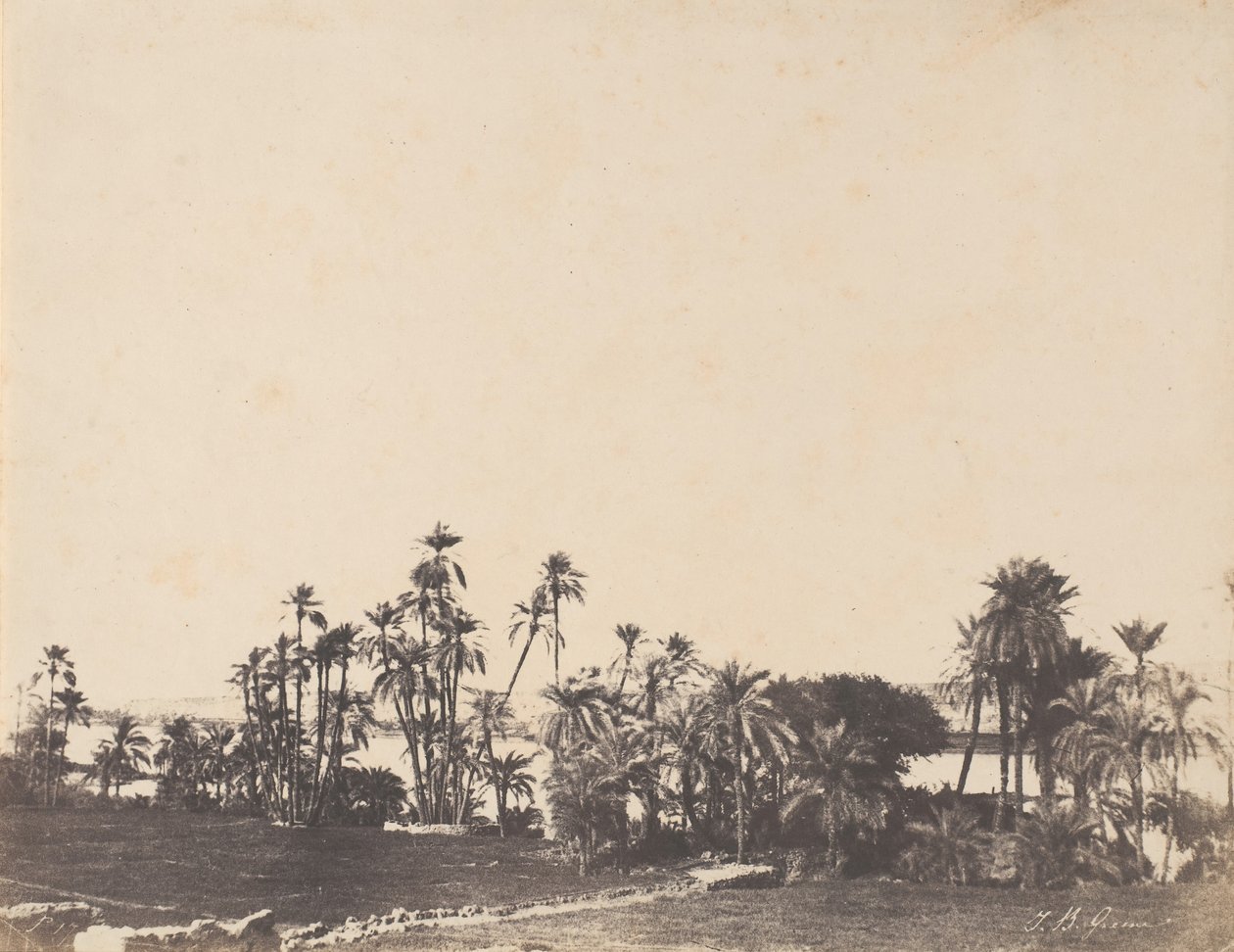 Study of Palms, Banks of the Nile, Kalabschi, 1853-54 by John Beasley Greene