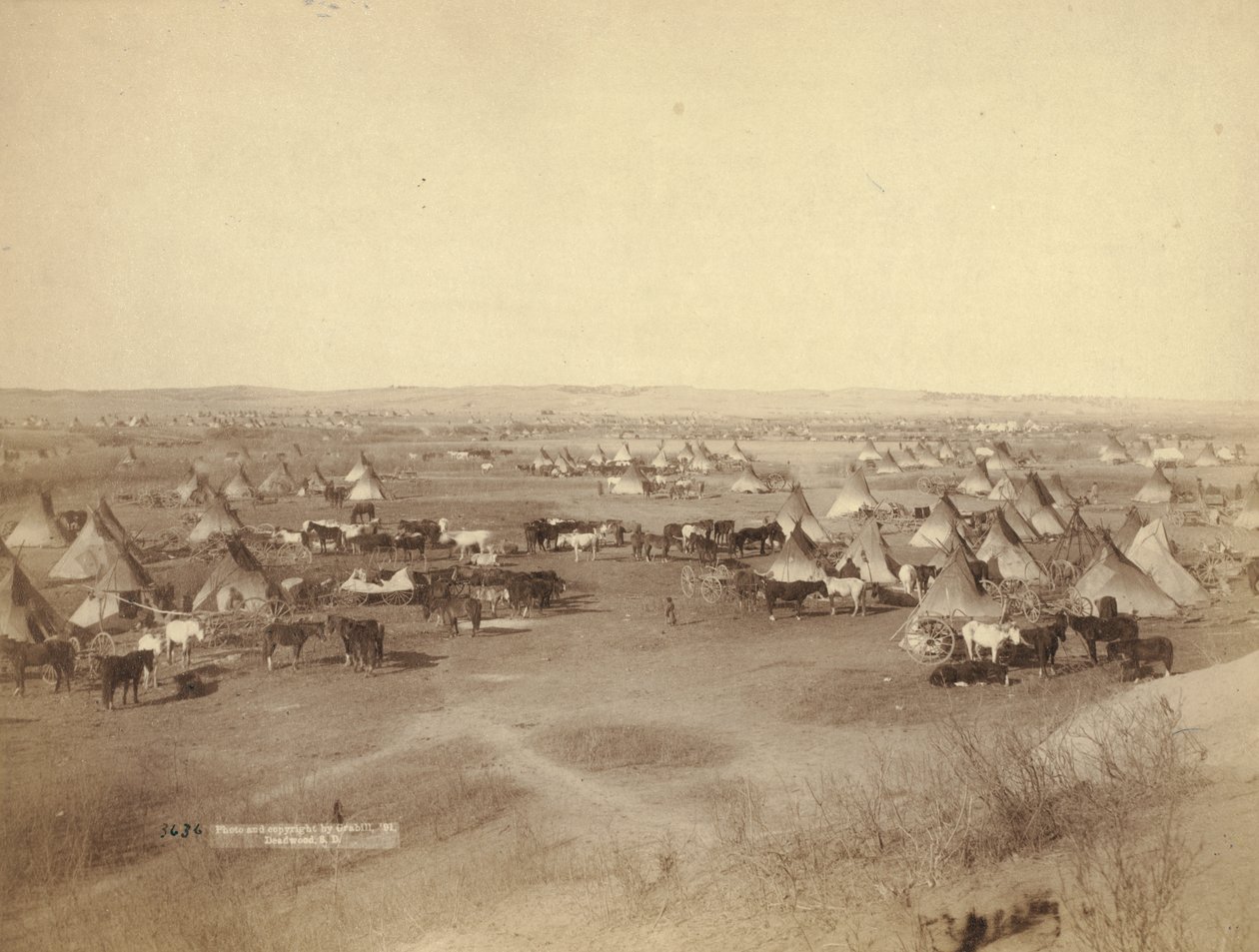 Hostile Indian Camp, 1891 by John C. H. Grabill