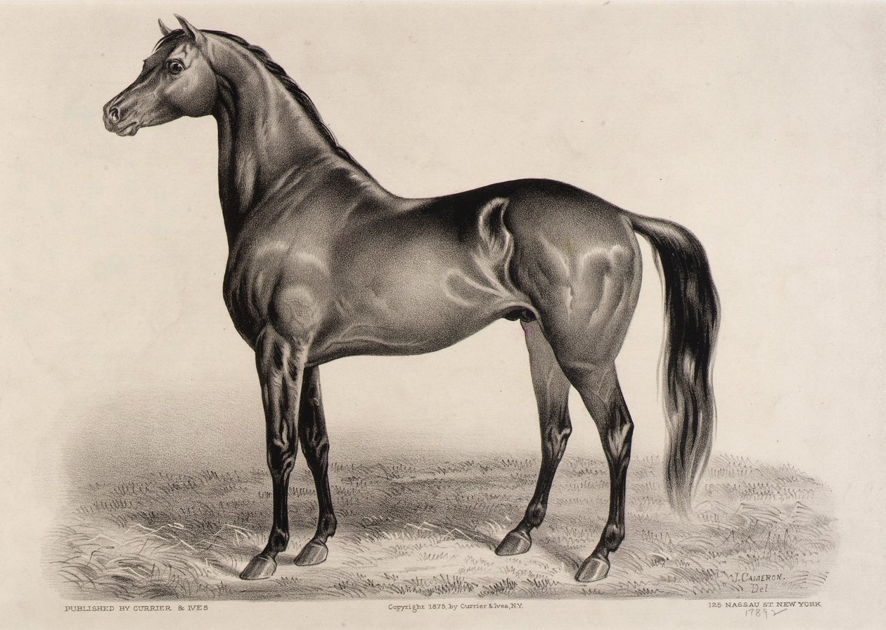 Redpath by John Cameron