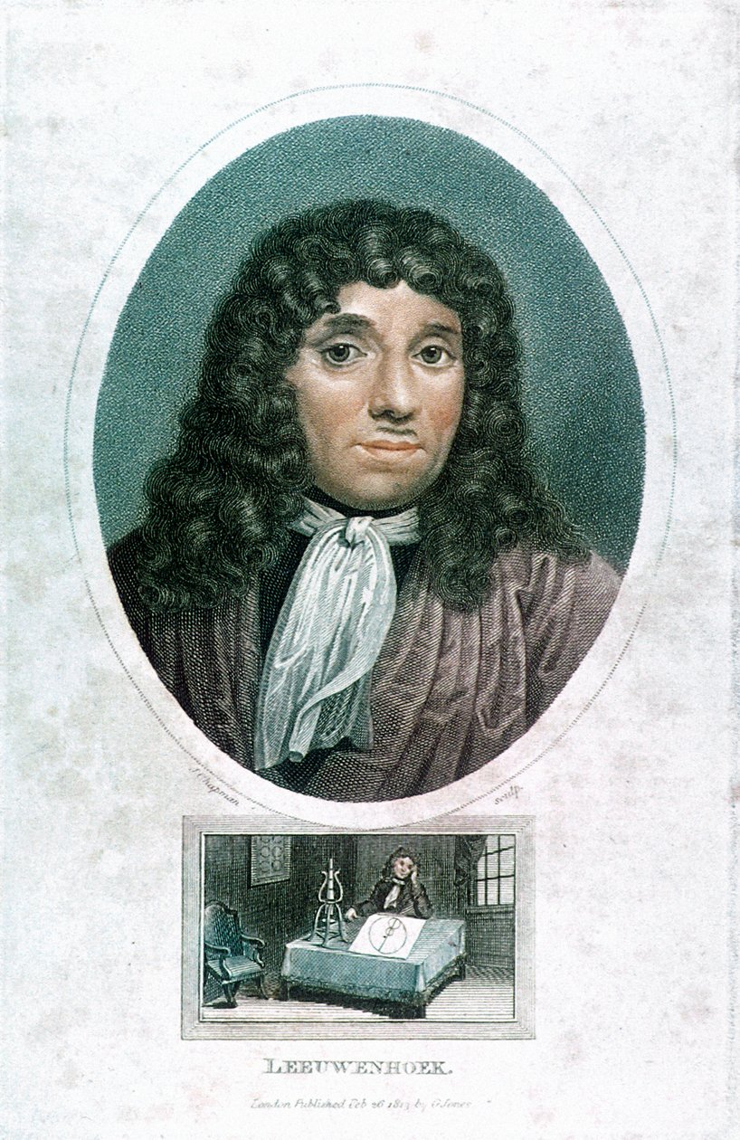 Anton van Leeuwenhoek, Dutch Microscopist by John Chapman