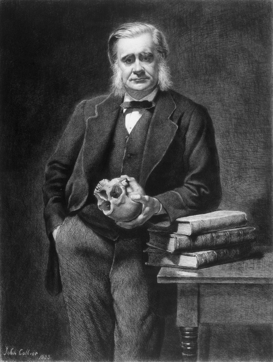 Thomas Henry Huxley (1825-95) etched by Leopold Flameng (1831-1911) 1885 by John Collier