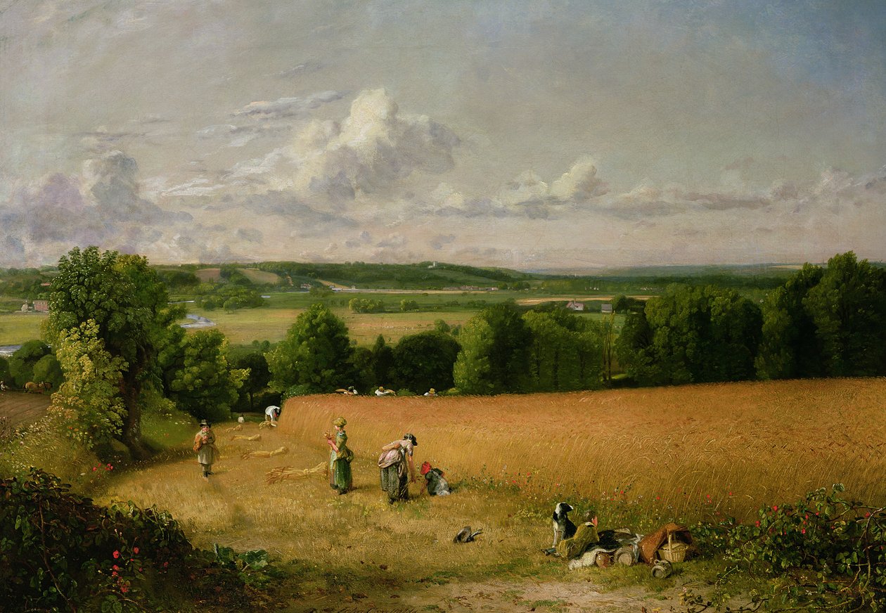 Wheat Field by John Constable