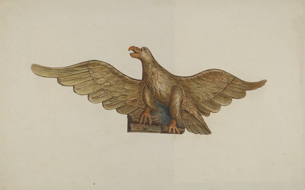 Eagle by John Davis