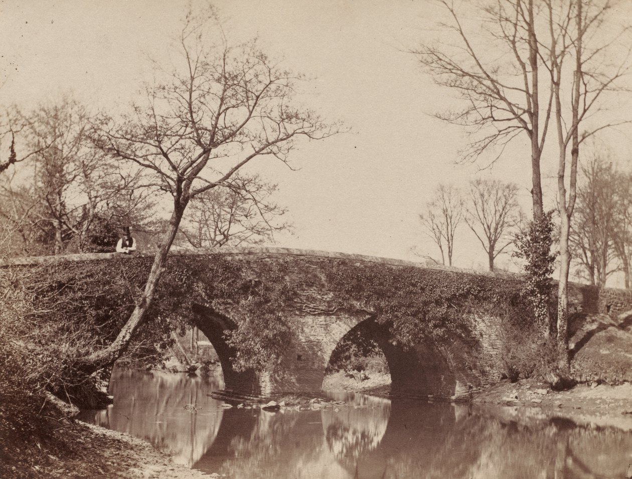 The Country Bridge Staplylton Bridge, Bristol by John Dillwyn Llewelyn