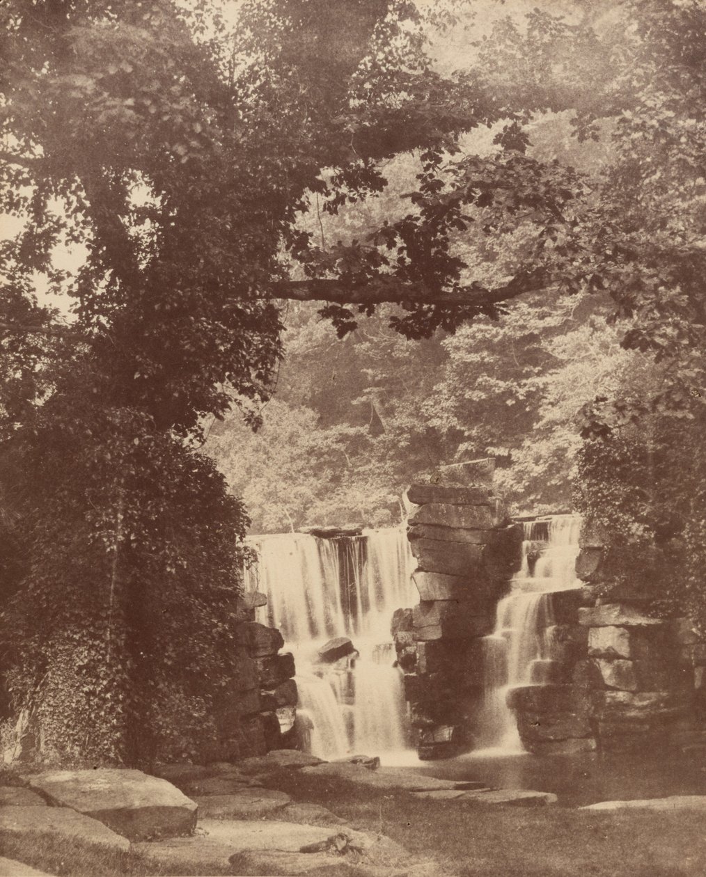 The Upper Falls, Penllergare Valley Woods, c. 1852 by John Dillwyn Llewelyn