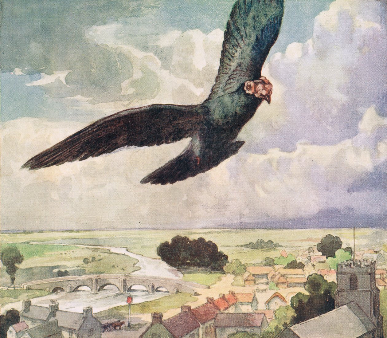 Bird flying over a town, illustration from 