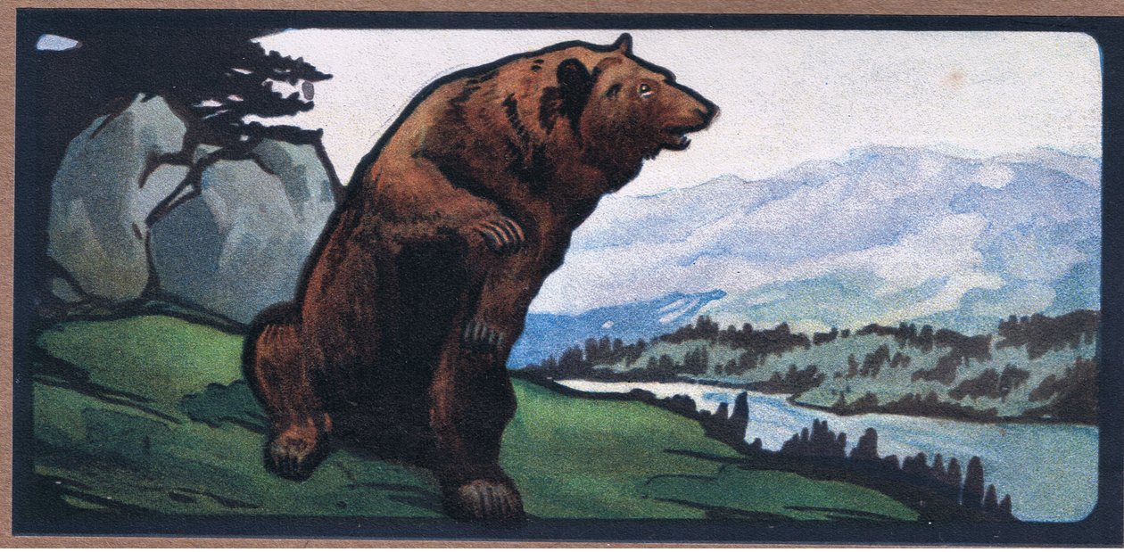 Brown Bear by John Edwin Noble