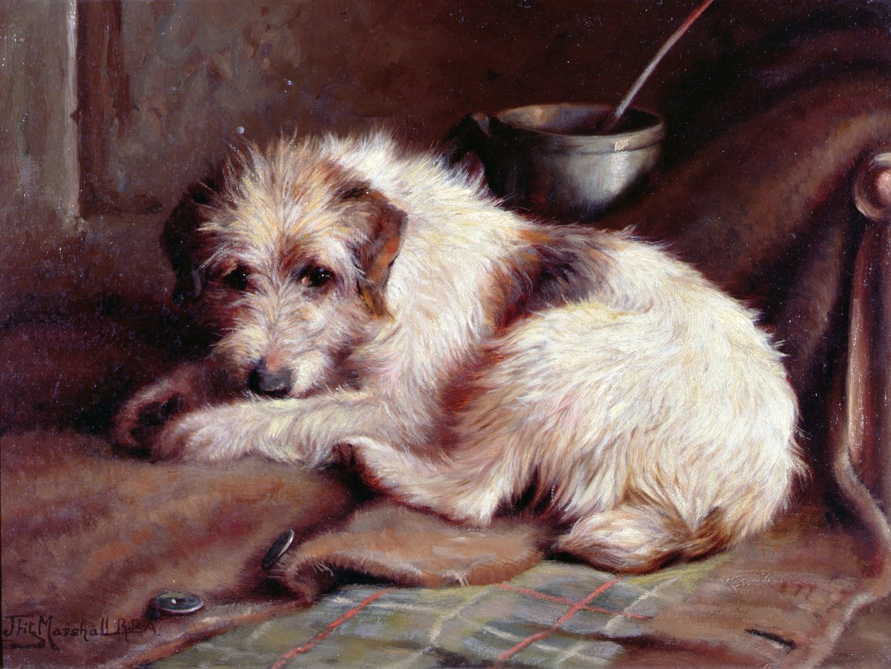 Waiting for Master by John Fitz Marshall