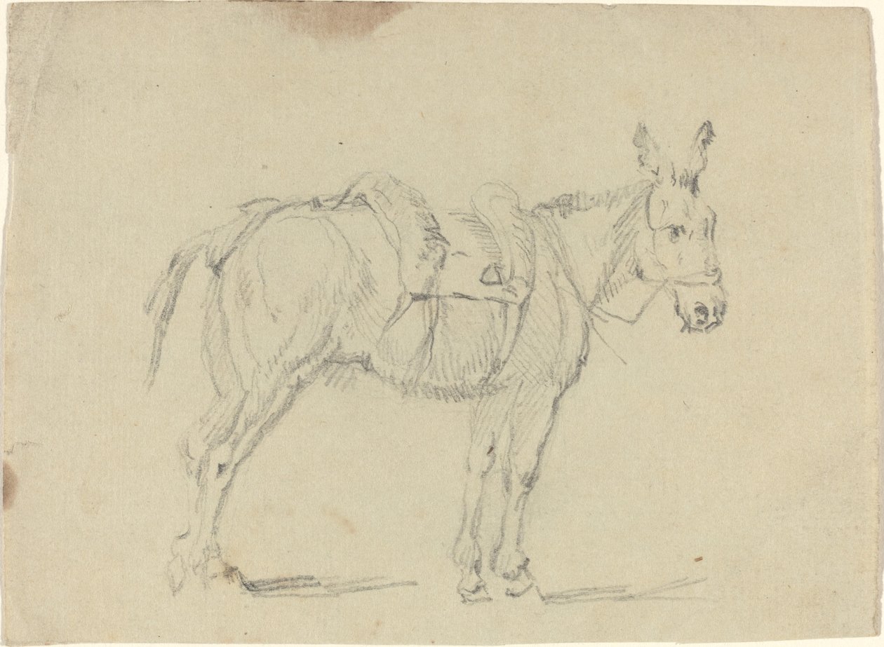 Donkey Stretching a Hind Leg by John Flaxman