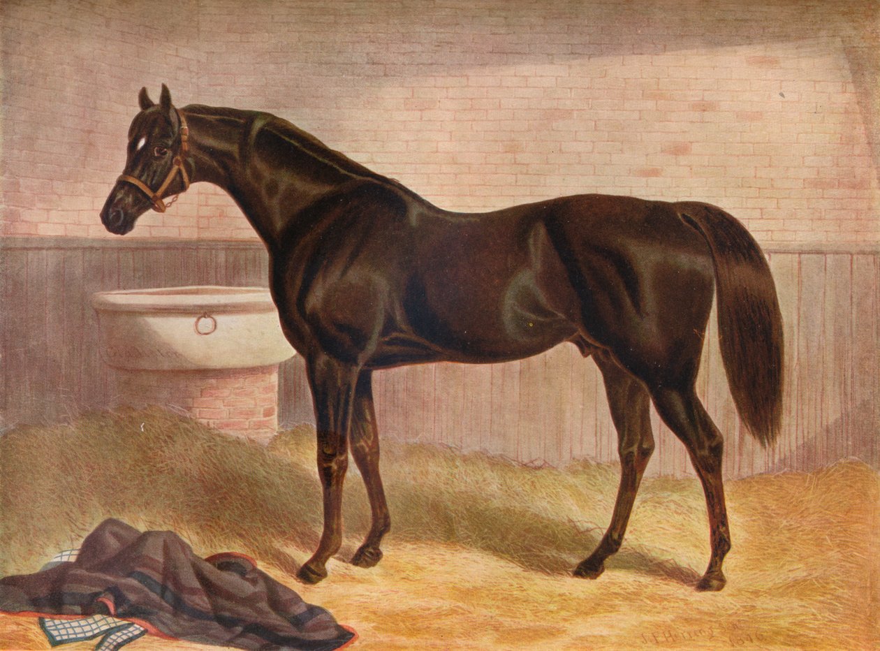 Gladiator by John Frederick Herring I