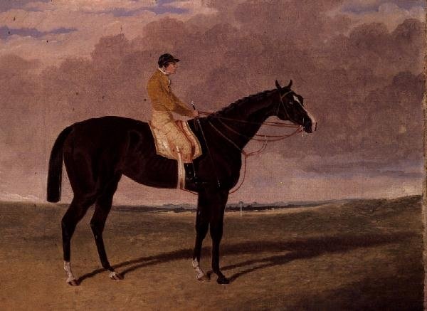 Queen of Trumps, a Bay Racehorse with Jockey by John Frederick Herring Jnr