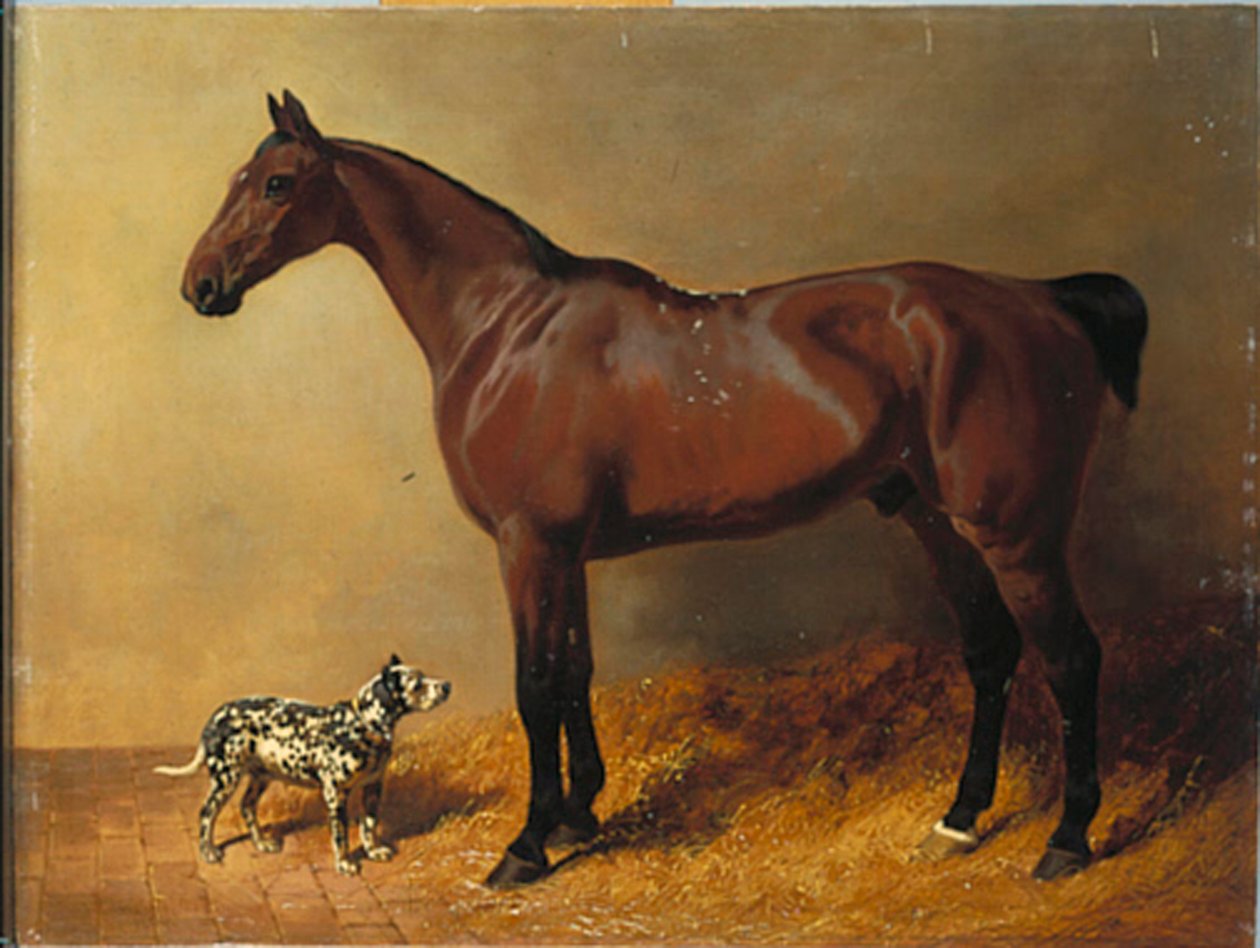 A Bay Hunter and a Spotted Dog in a Stable Interior by John Frederick Herring Senior
