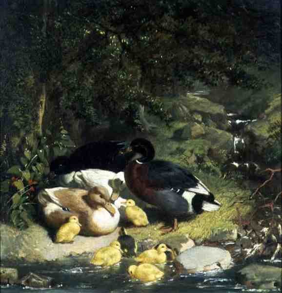 Ducks and Ducklings by John Frederick Herring Senior