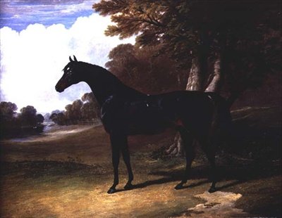 Gaucus, a Dark Bay Horse in a Wooded Landscape by John Frederick Herring Senior