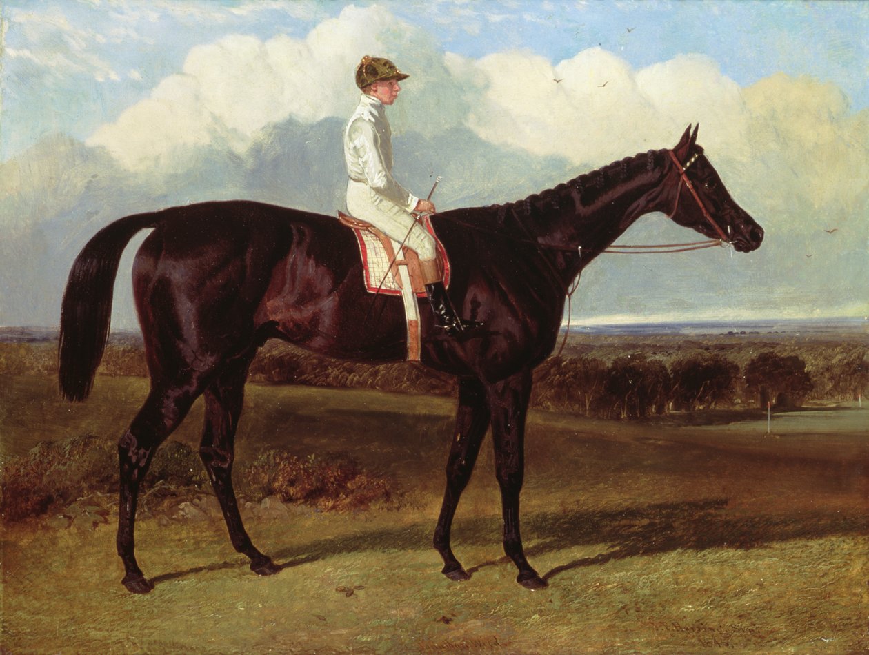 Jonathan Wild a Dark Bay Race Horse, at Goodwood, T. Ryder up, 1846 by John Frederick Herring Senior