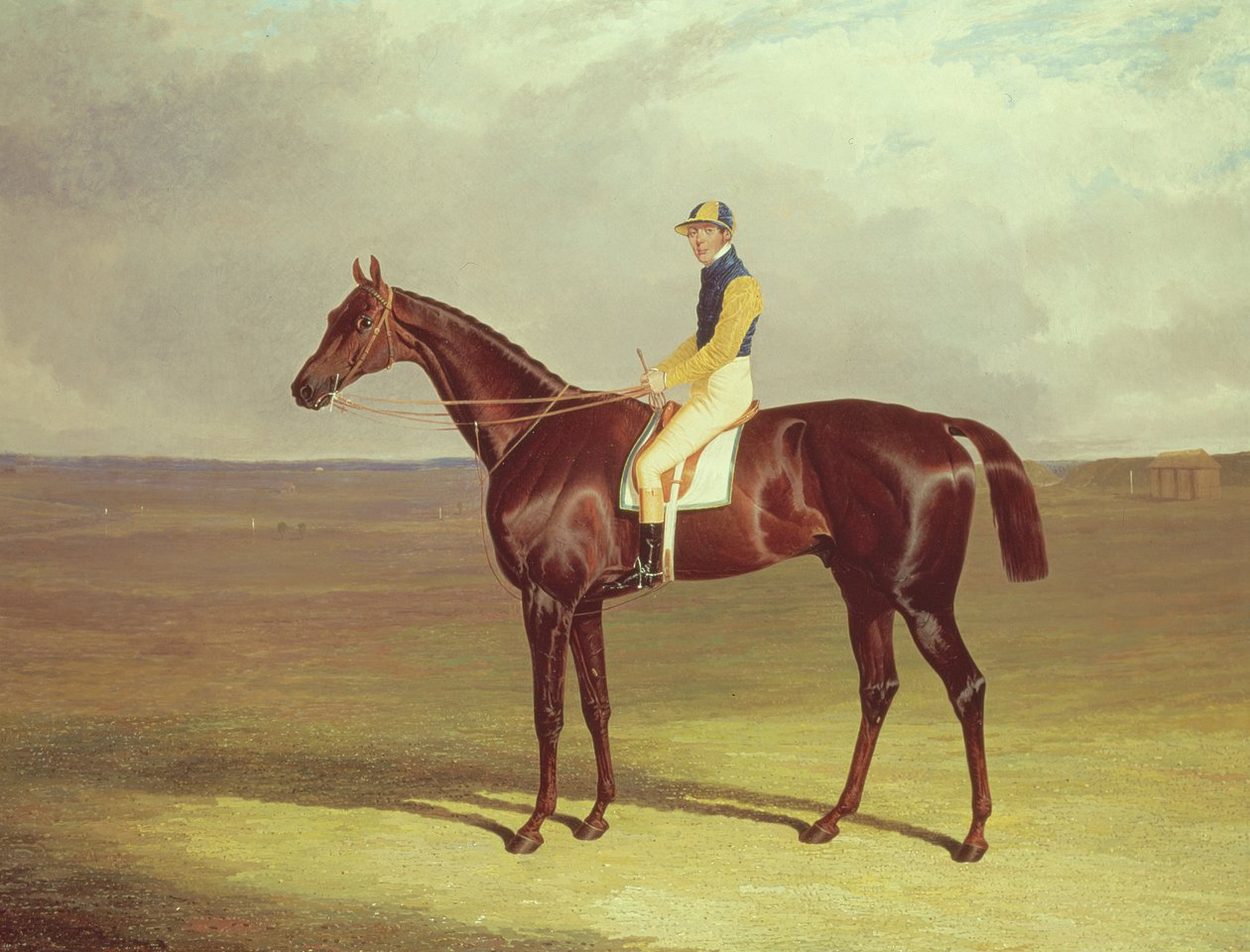 Mr. M. Stanleys Crutch on Newmarket Heath, 1833 by John Frederick Herring Senior