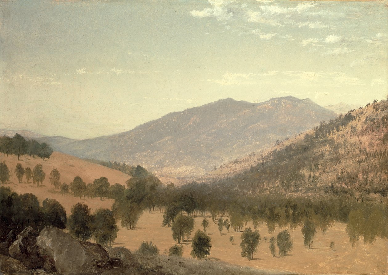 Bergen Park, Colorado by John Frederick Kensett