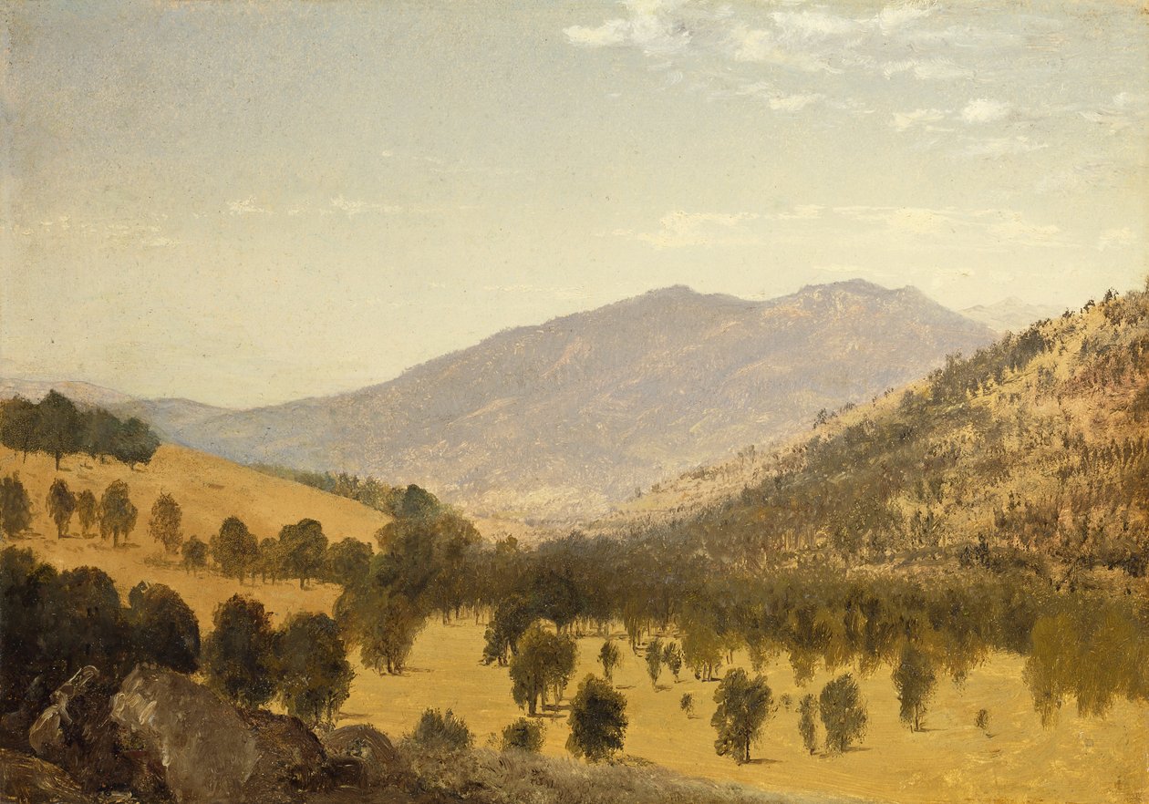 Bergen Park, Colorado by John Frederick Kensett