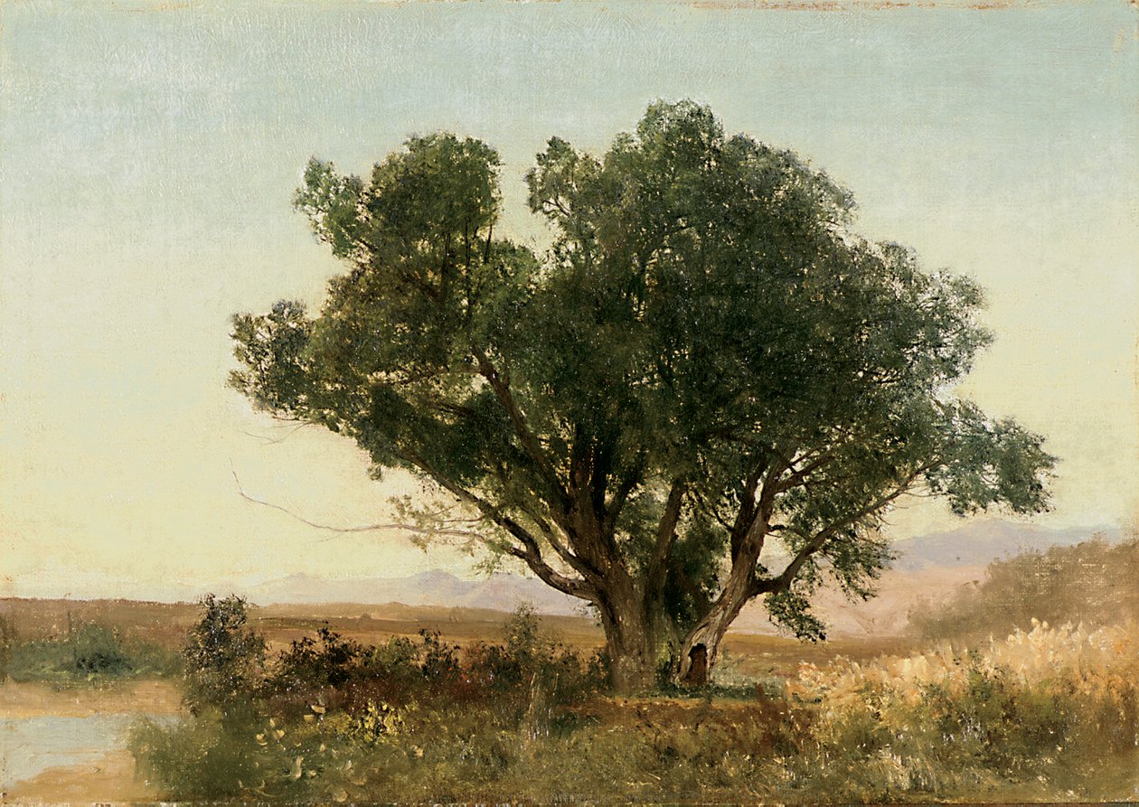 The Front Range, Colorado by John Frederick Kensett