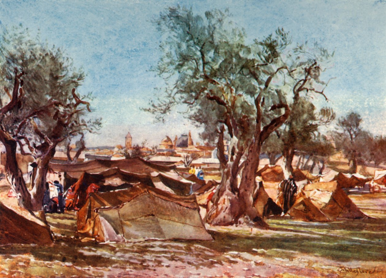 Bedouin Encampment Outside the North Wall of Jerusalem by John Fulleylove