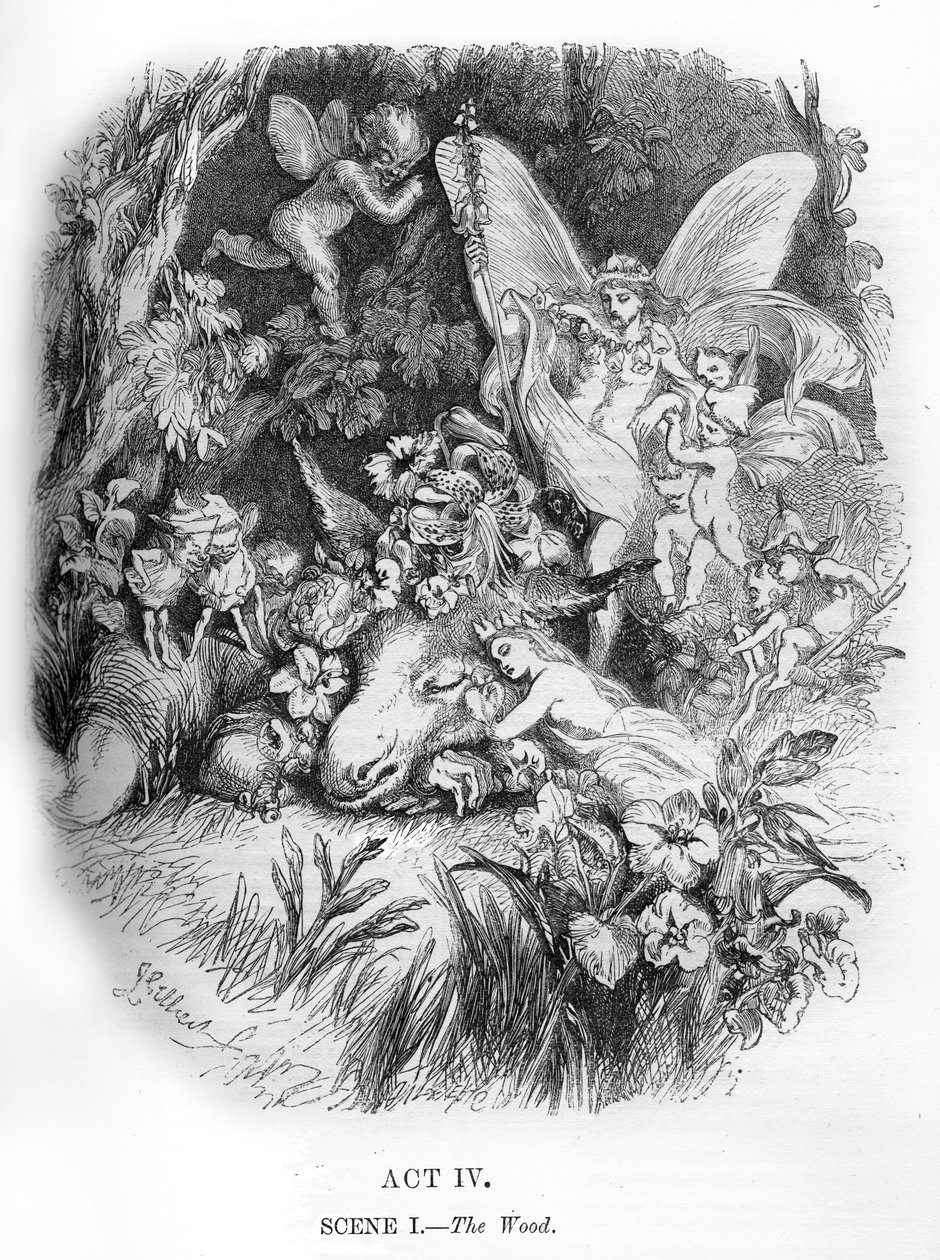 A Midsummer Night