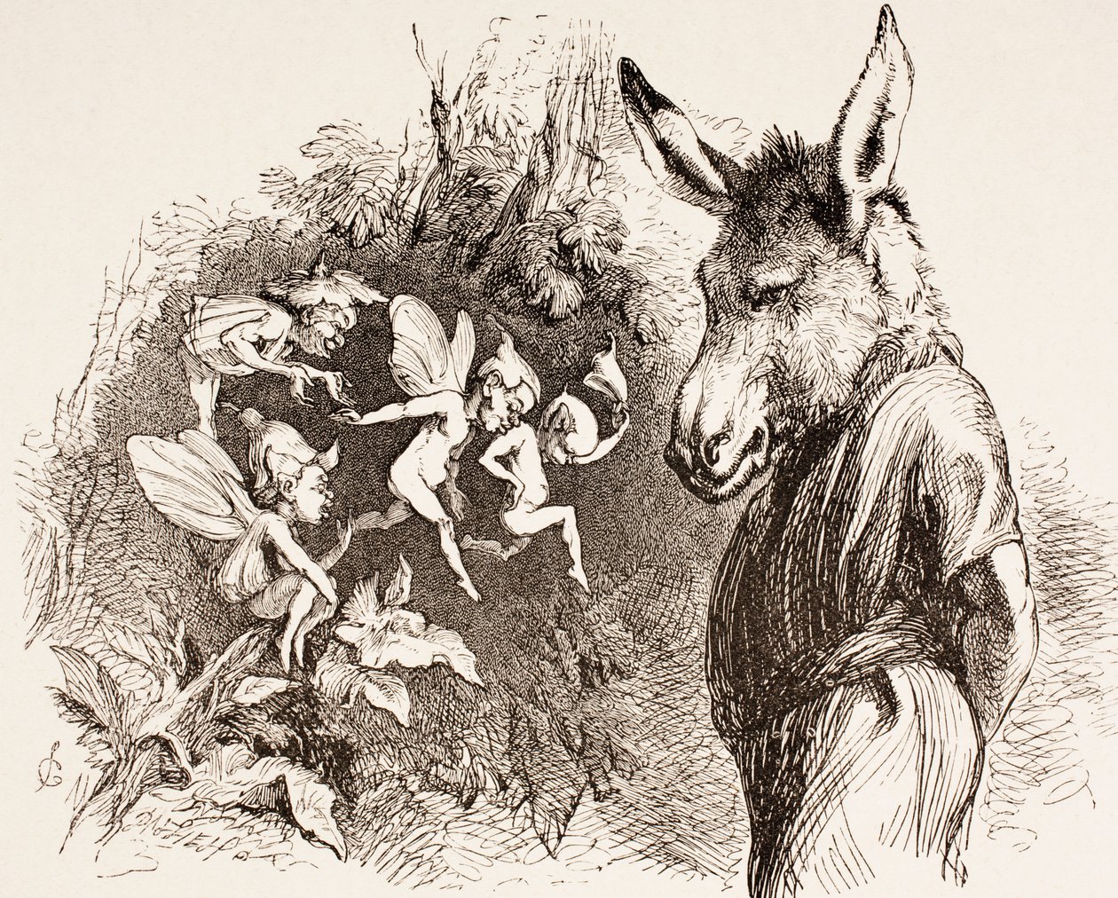Illustration for A Midsummer Night
