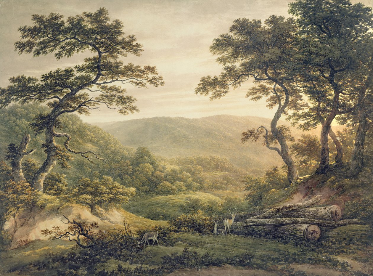 Needlewood Forest, Hampshire by John Glover