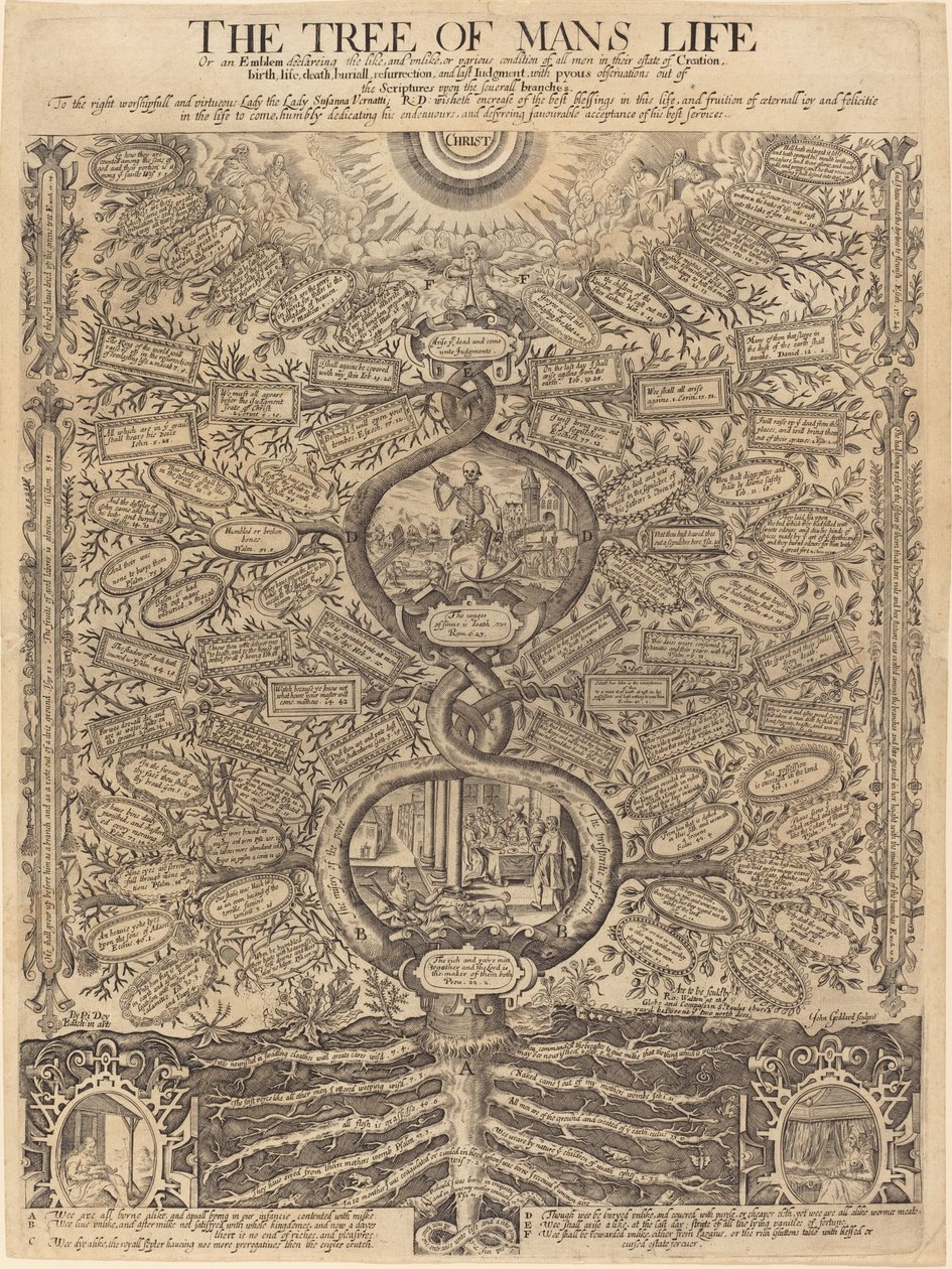 The Tree of Man