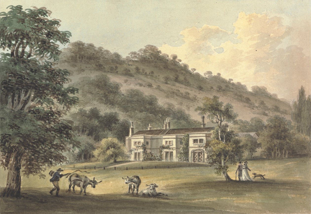 Grove Cottage, Box Hill, Surrey, the Seat of George Barclay Esq. by John Hassell