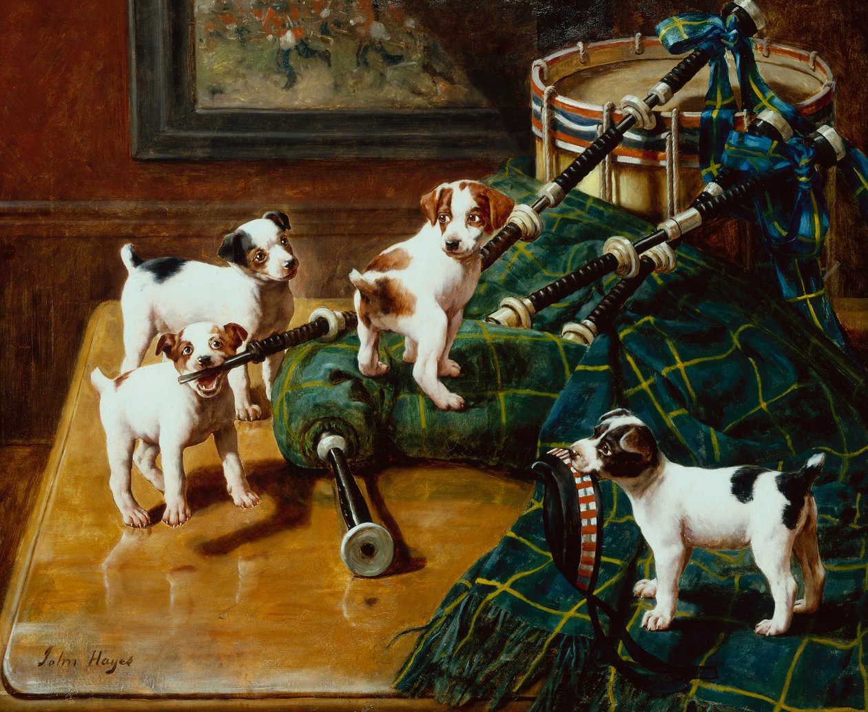 He Who Pays the Piper Calls the Tune by John Hayes
