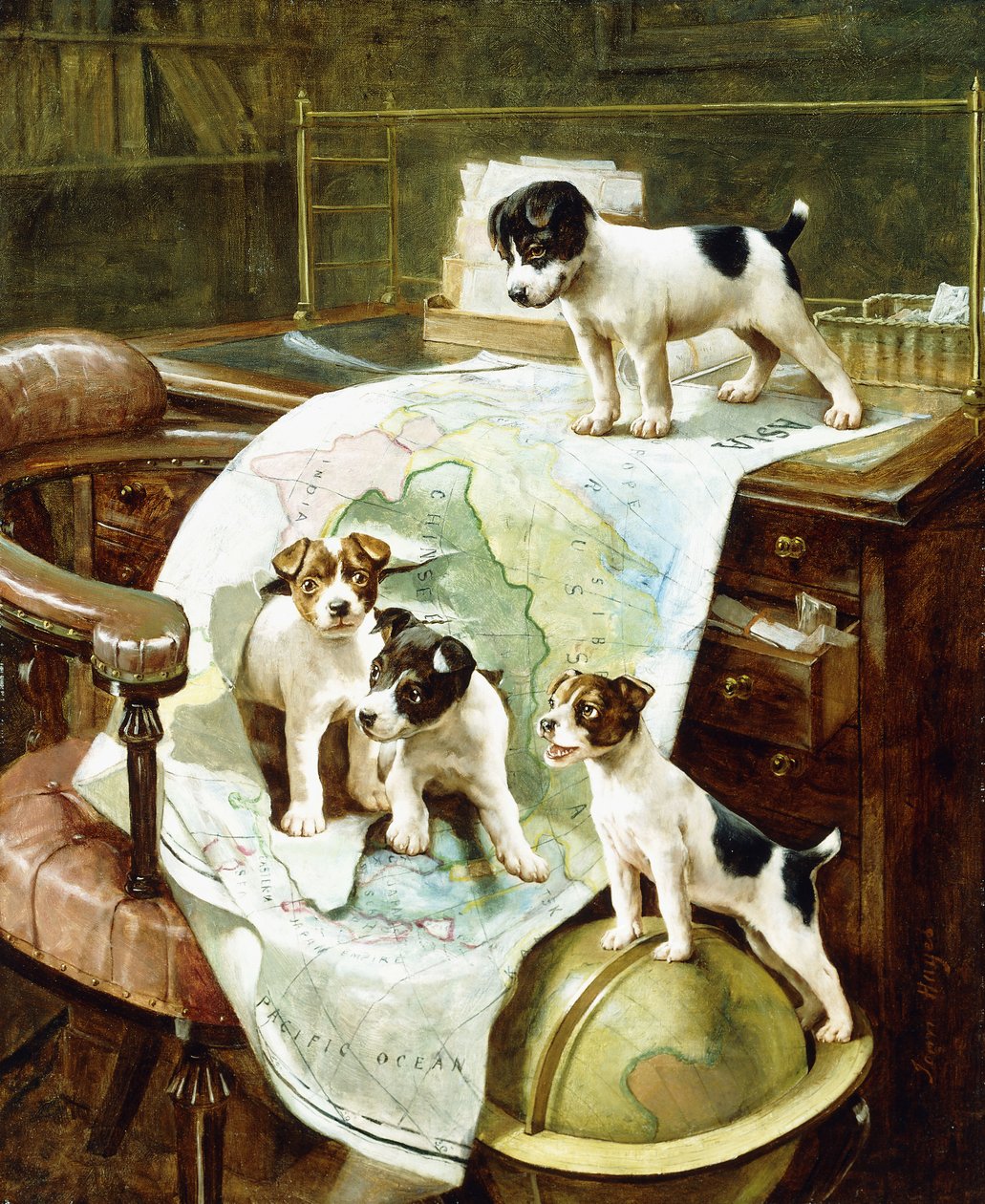 Well Travelled Jack Russell Puppies by John Hayes