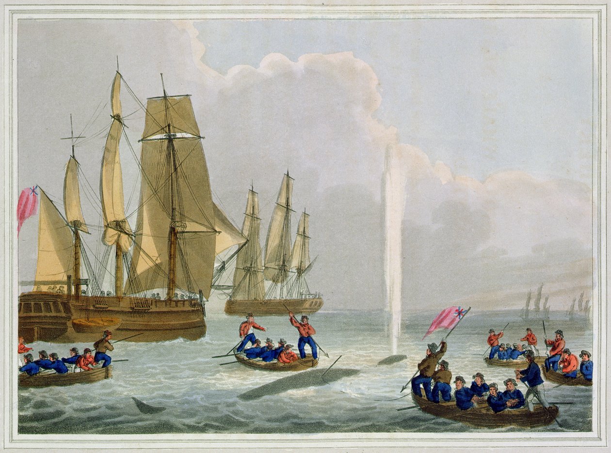 Boats Approaching a Whale, engraved by Matthew Dubourg, published by Edward Orme by John Heaviside Clark