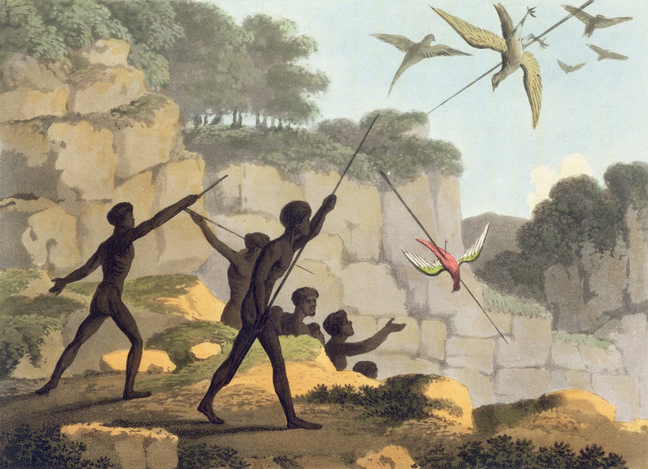 Throwing the Spear, Aborigines Hunting Birds from New South Wales, engraved by Matthew Dubourg, pub. 1813 by John Heaviside Clark