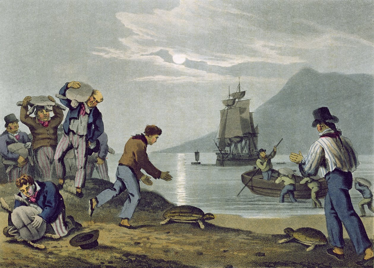 Turtle Catching on Land (engraved by Matthew Dubourg, published by Edward Orme, 1813) by John Heaviside Clark